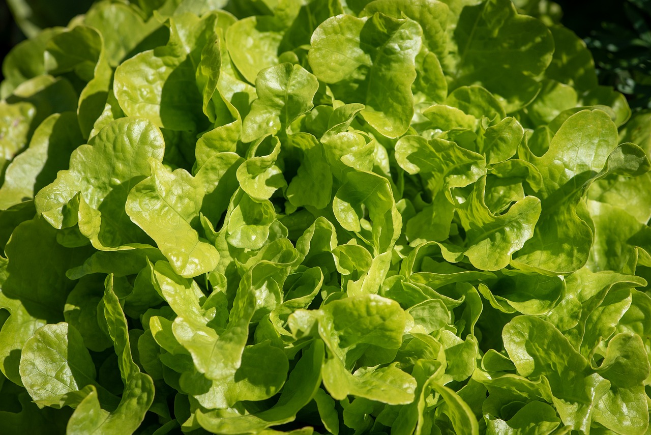 How to Make a Classic Caesar Salad